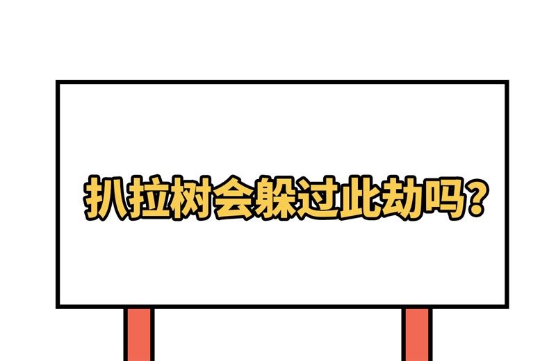 我和妹子们的荒岛余生韩漫全集-113 雪崩无删减无遮挡章节图片 