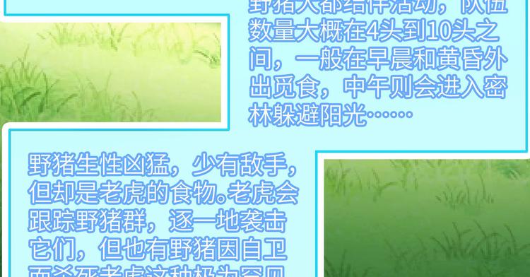 我和妹子们的荒岛余生韩漫全集-第18话 遭遇野猪无删减无遮挡章节图片 