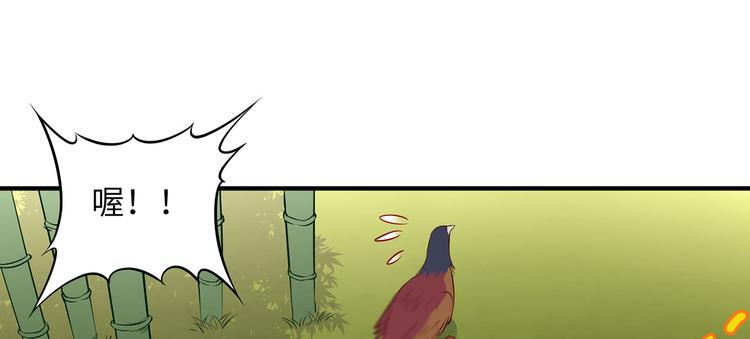 我和妹子们的荒岛余生韩漫全集-第26话 鸡界傻狍子无删减无遮挡章节图片 
