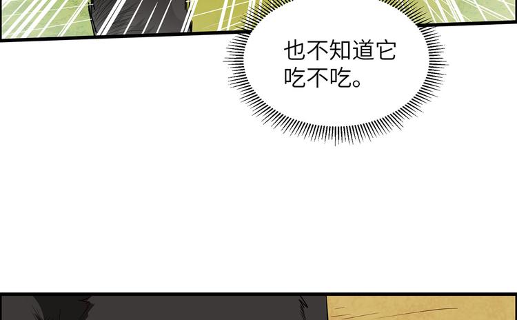 我和妹子们的荒岛余生韩漫全集-第28话 熊猫！熊猫！无删减无遮挡章节图片 