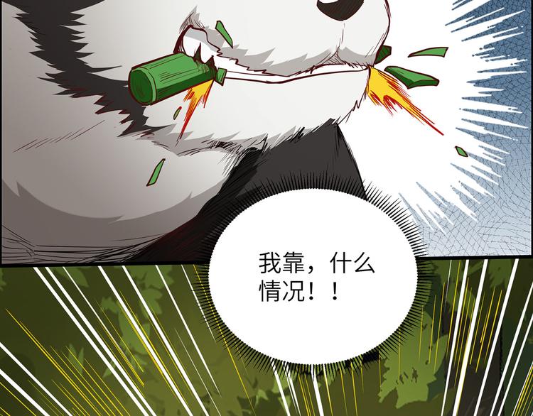 我和妹子们的荒岛余生韩漫全集-第28话 熊猫！熊猫！无删减无遮挡章节图片 