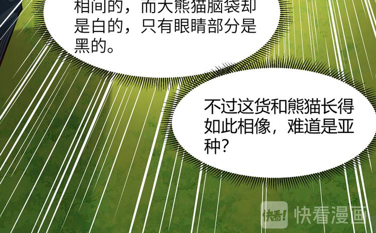 我和妹子们的荒岛余生韩漫全集-第28话 熊猫！熊猫！无删减无遮挡章节图片 