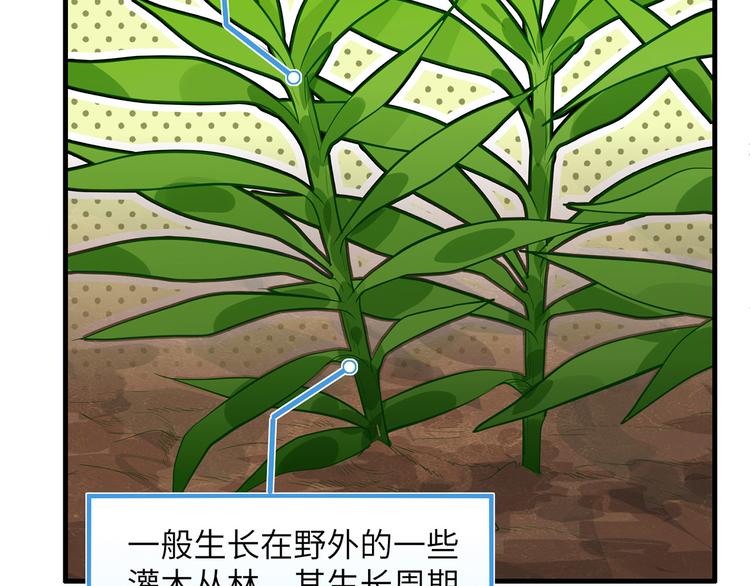 我和妹子们的荒岛余生韩漫全集-第35话 顺手捡的无删减无遮挡章节图片 