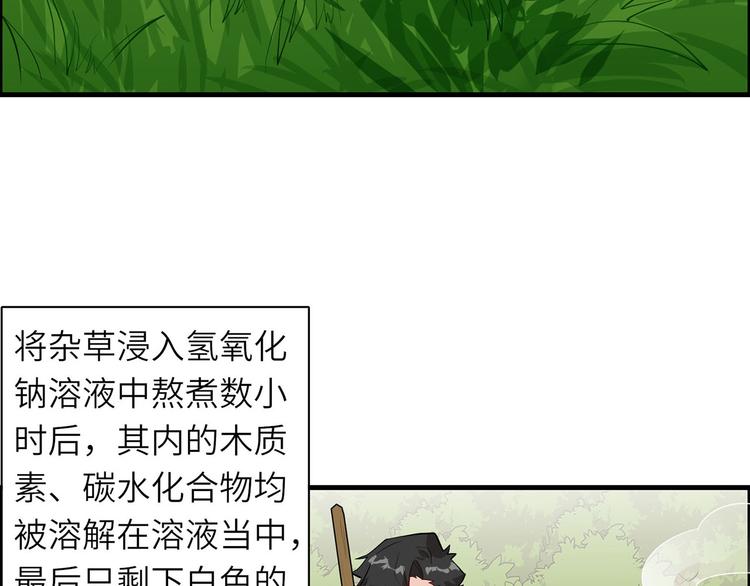 我和妹子们的荒岛余生韩漫全集-第35话 顺手捡的无删减无遮挡章节图片 