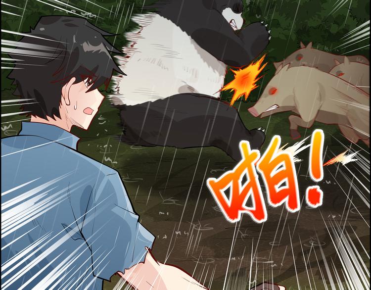 我和妹子们的荒岛余生韩漫全集-第40话 熊猪斗无删减无遮挡章节图片 