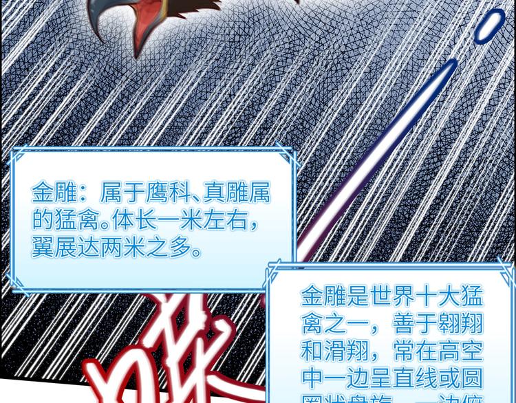 我和妹子们的荒岛余生韩漫全集-第46话 天降金雕无删减无遮挡章节图片 