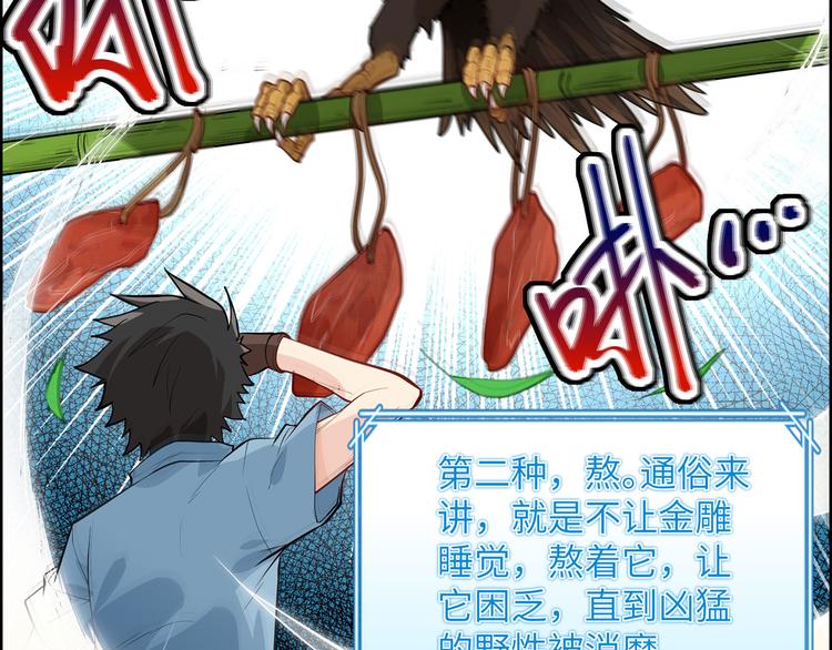 我和妹子们的荒岛余生韩漫全集-第46话 天降金雕无删减无遮挡章节图片 