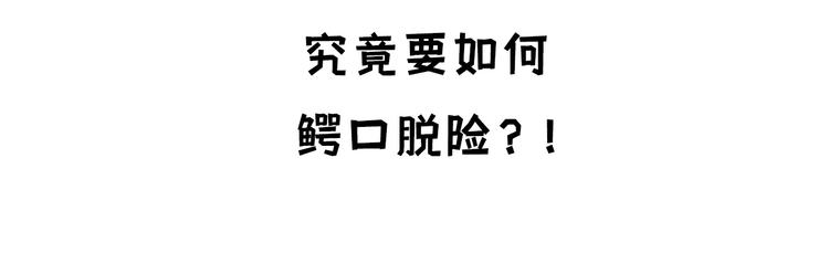 我和妹子们的荒岛余生韩漫全集-重要通知无删减无遮挡章节图片 