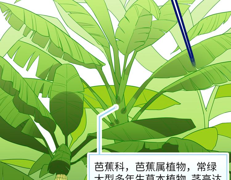 我和妹子们的荒岛余生韩漫全集-第8话 制作捕鱼陷阱无删减无遮挡章节图片 