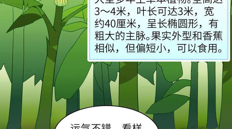 我和妹子们的荒岛余生韩漫全集-第8话 制作捕鱼陷阱无删减无遮挡章节图片 