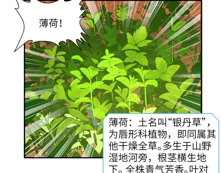 我和妹子们的荒岛余生韩漫全集-第9话 椰子蟹无删减无遮挡章节图片 
