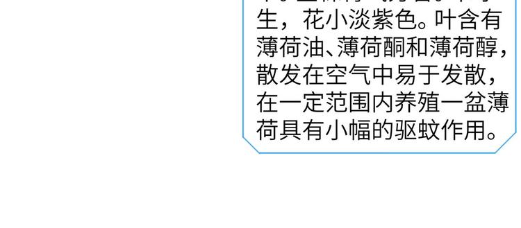 我和妹子们的荒岛余生韩漫全集-第9话 椰子蟹无删减无遮挡章节图片 