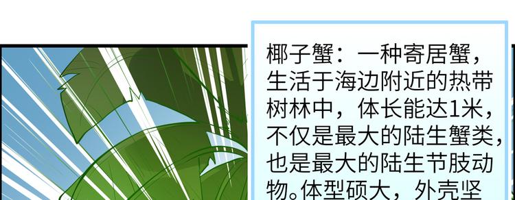 我和妹子们的荒岛余生韩漫全集-第9话 椰子蟹无删减无遮挡章节图片 