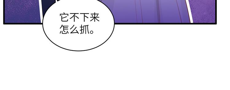 我和妹子们的荒岛余生韩漫全集-第9话 椰子蟹无删减无遮挡章节图片 