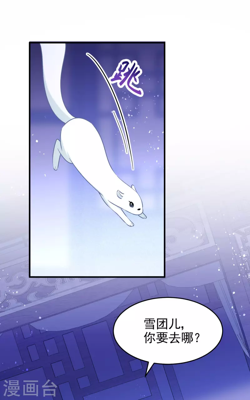 我家陛下总想祸国韩漫全集-第50话3 两面为难无删减无遮挡章节图片 