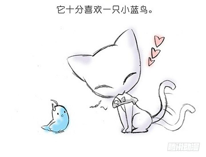 我家大师兄脑子有坑韩漫全集-番外：飞星喵2.为什么不喜欢我？无删减无遮挡章节图片 