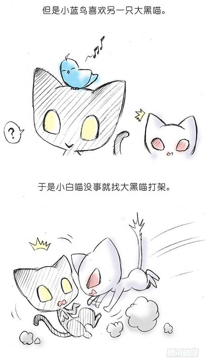 我家大师兄脑子有坑韩漫全集-番外：飞星喵2.为什么不喜欢我？无删减无遮挡章节图片 