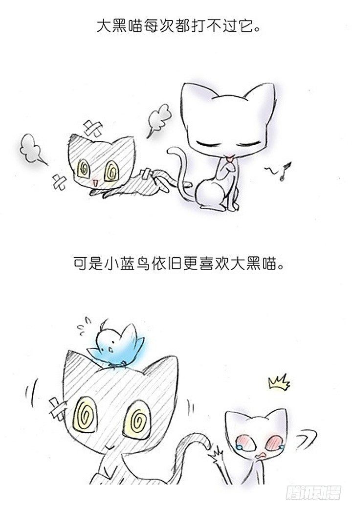 我家大师兄脑子有坑韩漫全集-番外：飞星喵2.为什么不喜欢我？无删减无遮挡章节图片 