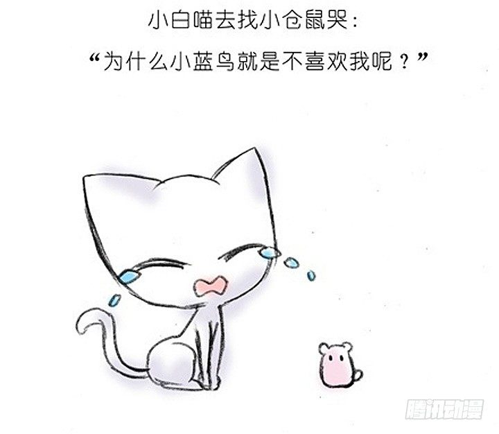 我家大师兄脑子有坑韩漫全集-番外：飞星喵2.为什么不喜欢我？无删减无遮挡章节图片 
