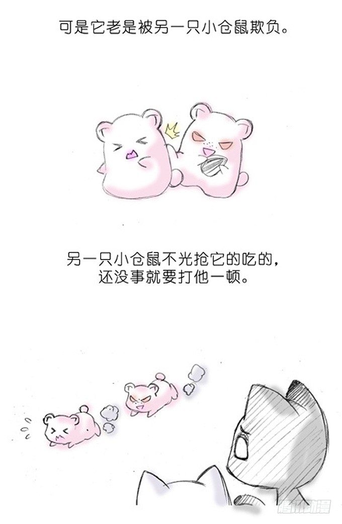 我家大师兄脑子有坑韩漫全集-番外：飞星喵3.你们喵不懂无删减无遮挡章节图片 