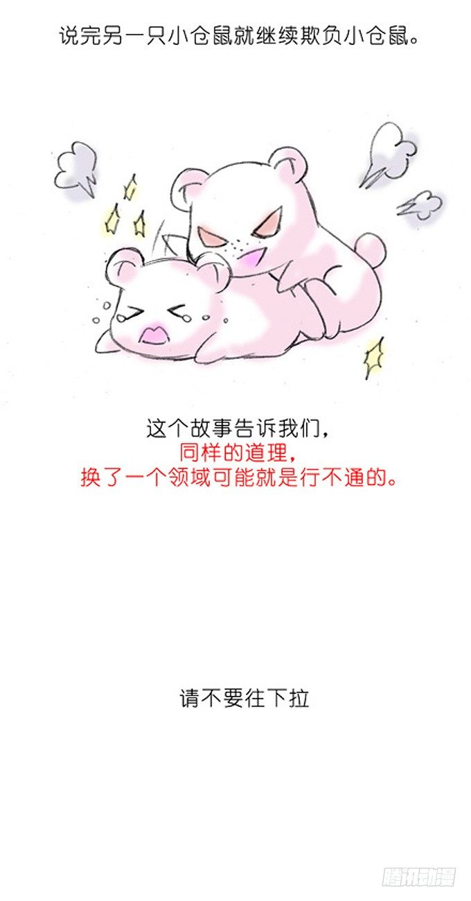 我家大师兄脑子有坑韩漫全集-番外：飞星喵3.你们喵不懂无删减无遮挡章节图片 