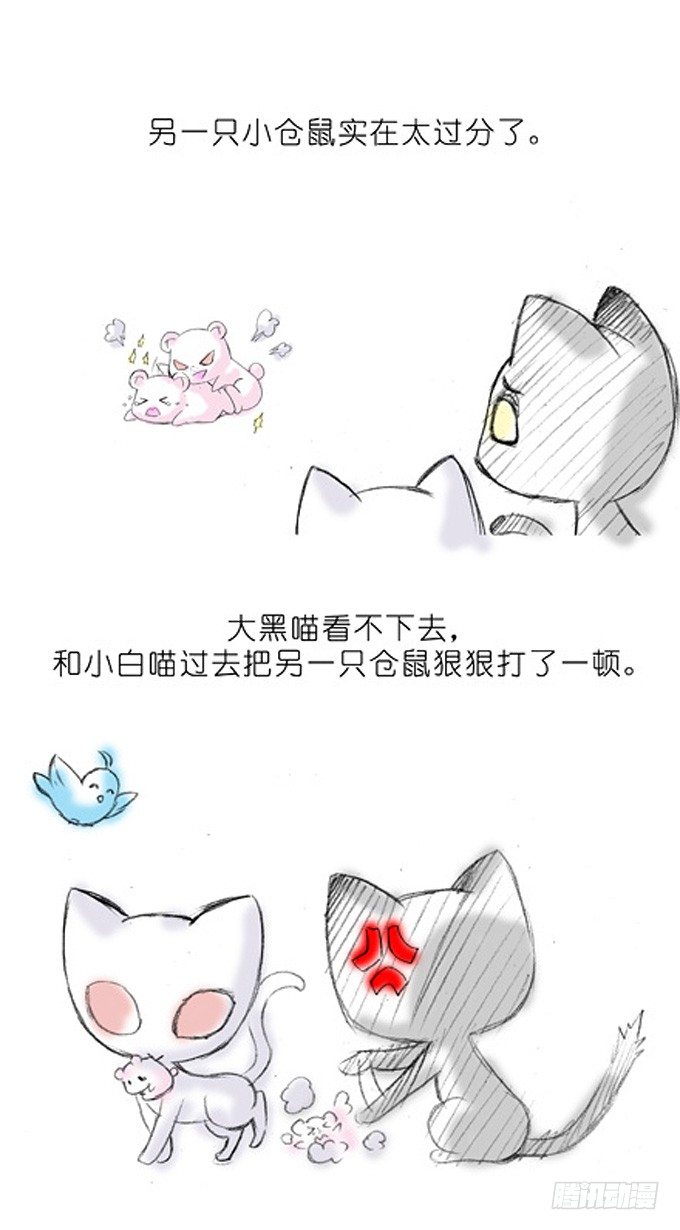 我家大师兄脑子有坑韩漫全集-番外：飞星喵3.你们喵不懂无删减无遮挡章节图片 