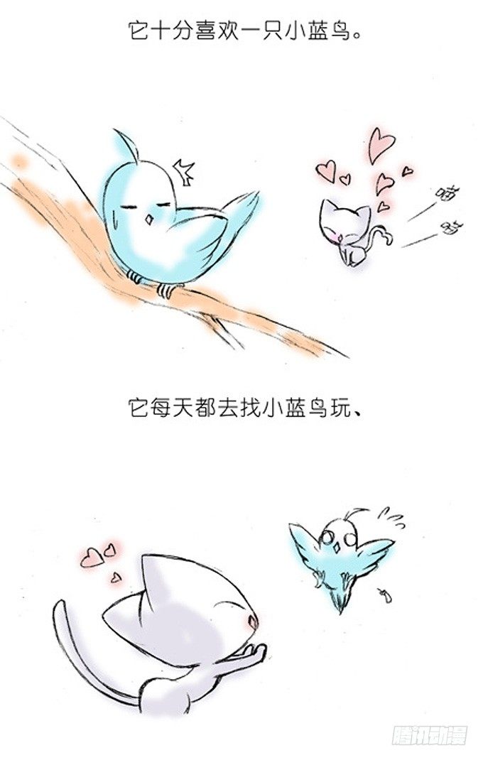 我家大师兄脑子有坑韩漫全集-番外：飞星喵4.我好喜欢小蓝鸟的无删减无遮挡章节图片 