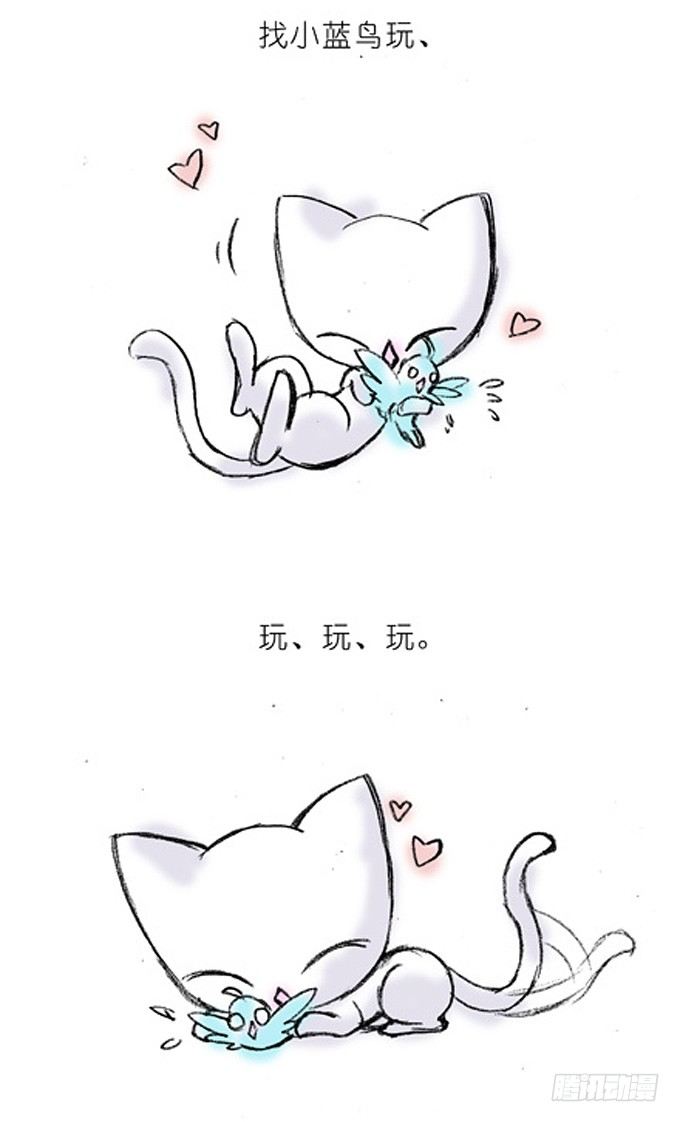 我家大师兄脑子有坑韩漫全集-番外：飞星喵4.我好喜欢小蓝鸟的无删减无遮挡章节图片 