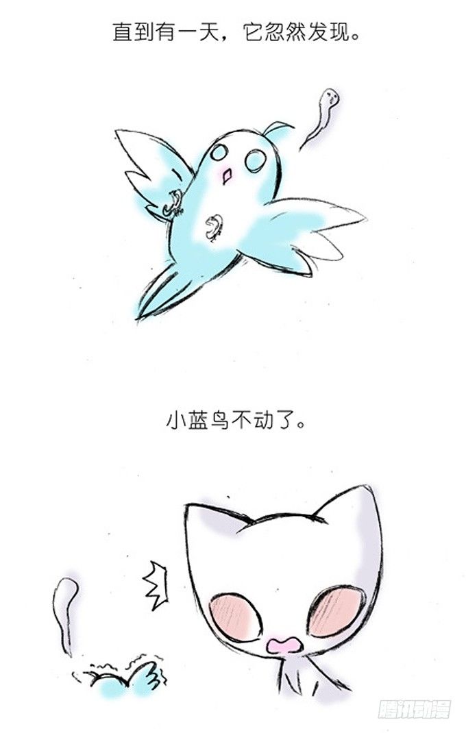 我家大师兄脑子有坑韩漫全集-番外：飞星喵4.我好喜欢小蓝鸟的无删减无遮挡章节图片 