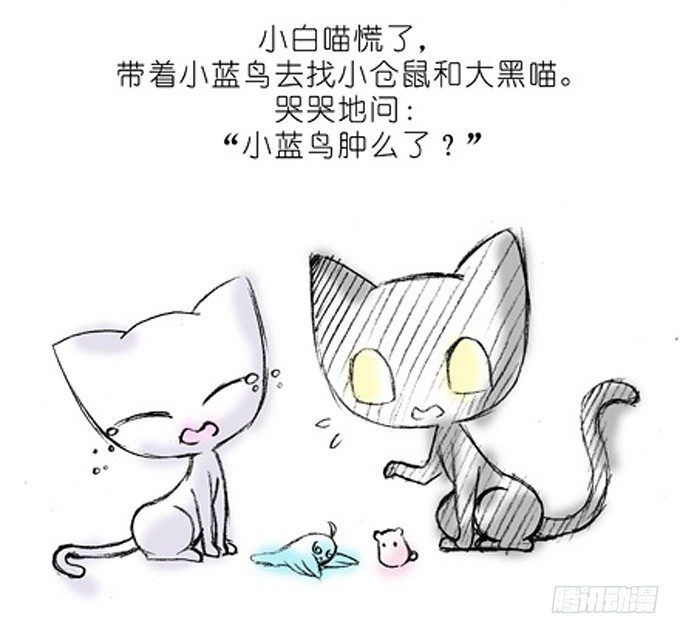 我家大师兄脑子有坑韩漫全集-番外：飞星喵4.我好喜欢小蓝鸟的无删减无遮挡章节图片 