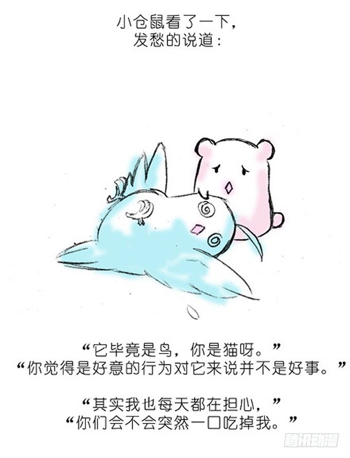 我家大师兄脑子有坑韩漫全集-番外：飞星喵4.我好喜欢小蓝鸟的无删减无遮挡章节图片 