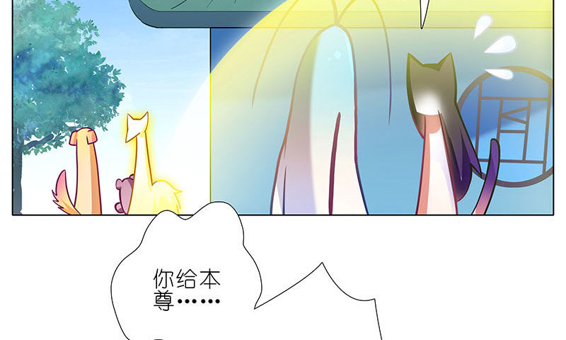 我家大师兄脑子有坑韩漫全集-第269坑 龙阳之好无删减无遮挡章节图片 