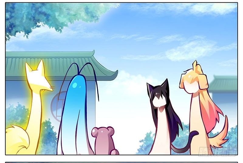 我家大师兄脑子有坑韩漫全集-第269坑 龙阳之好无删减无遮挡章节图片 