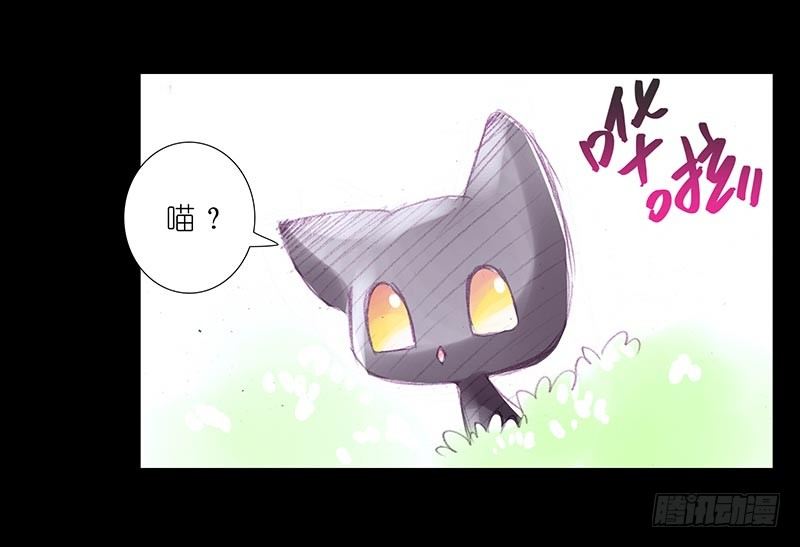 我家大师兄脑子有坑韩漫全集-番外：忽然养只猫3无删减无遮挡章节图片 