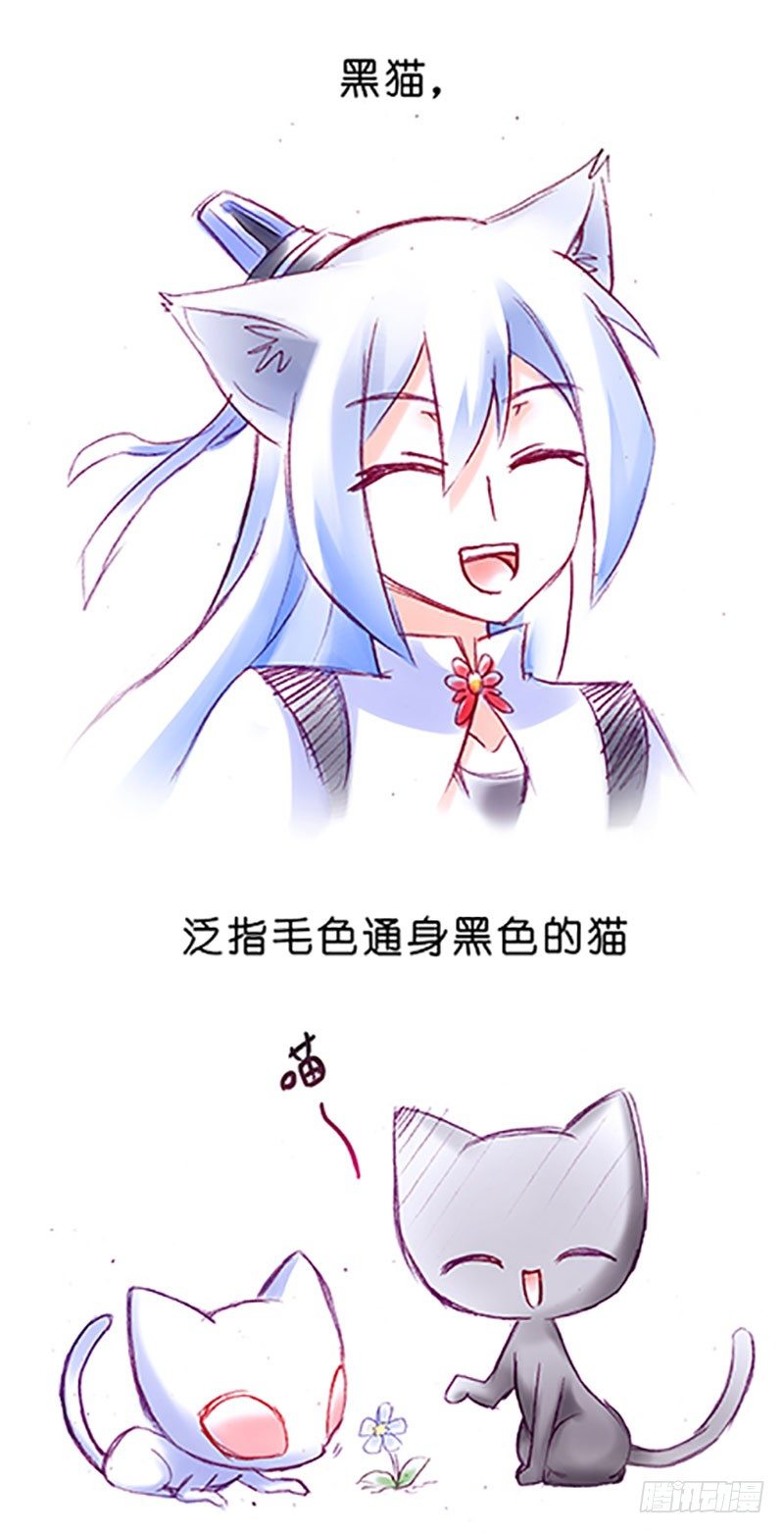 我家大师兄脑子有坑韩漫全集-番外：飞星喵6-15合集无删减无遮挡章节图片 