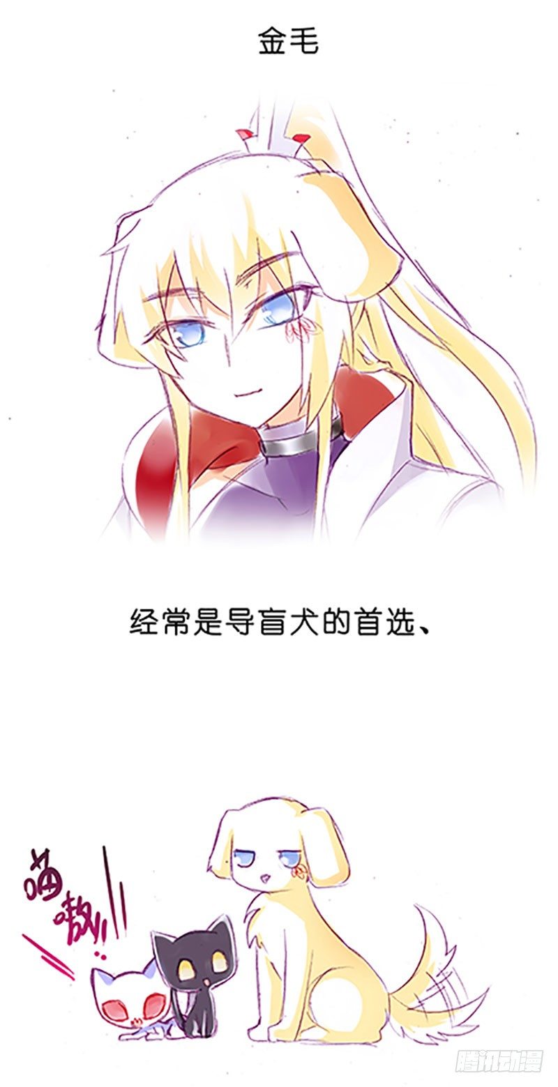我家大师兄脑子有坑韩漫全集-番外：飞星喵6-15合集无删减无遮挡章节图片 