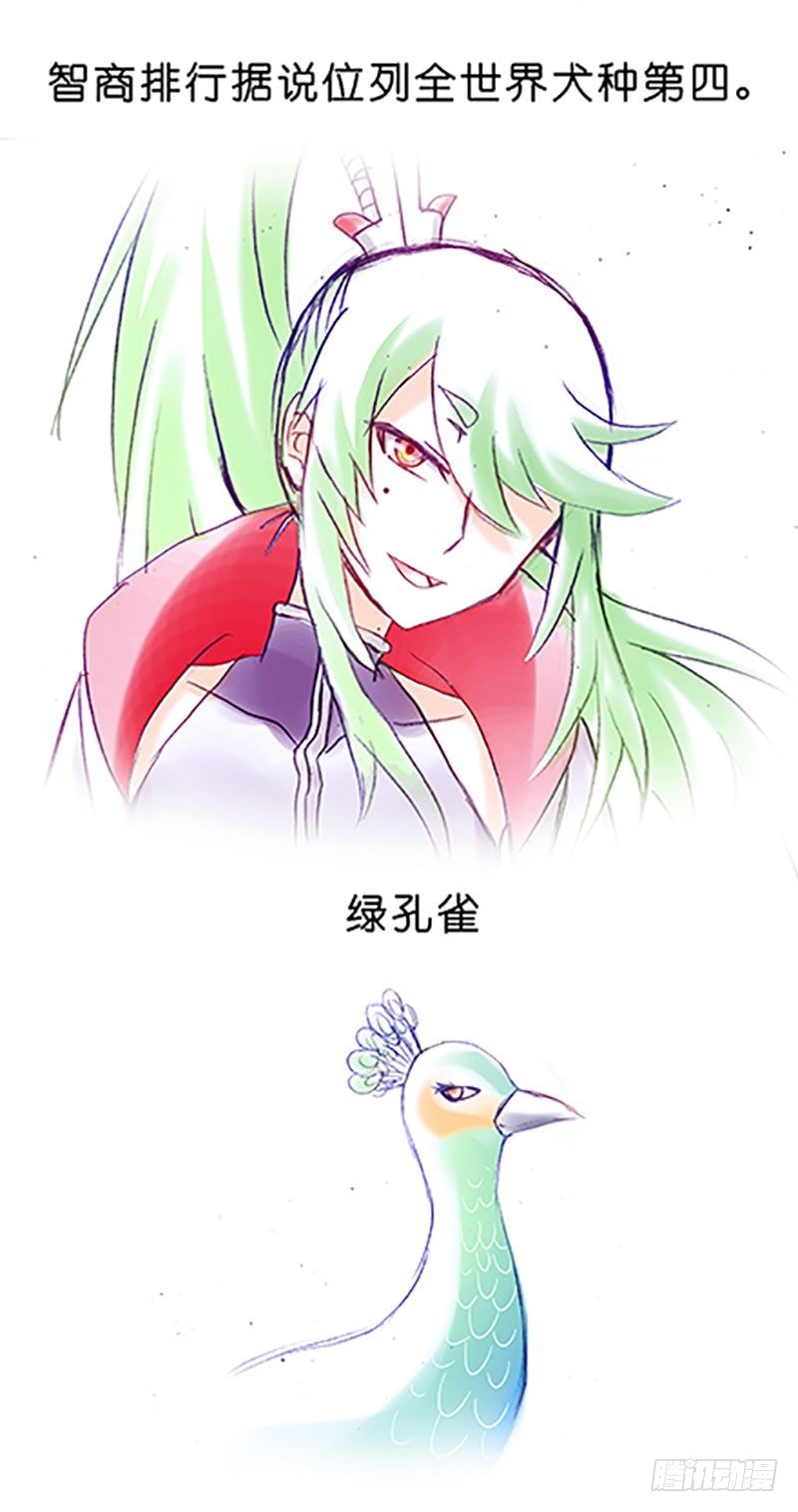我家大师兄脑子有坑韩漫全集-番外：飞星喵6-15合集无删减无遮挡章节图片 