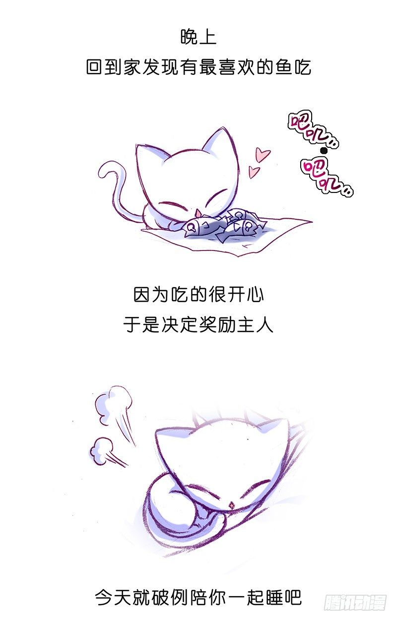我家大师兄脑子有坑韩漫全集-番外：飞星喵6-15合集无删减无遮挡章节图片 