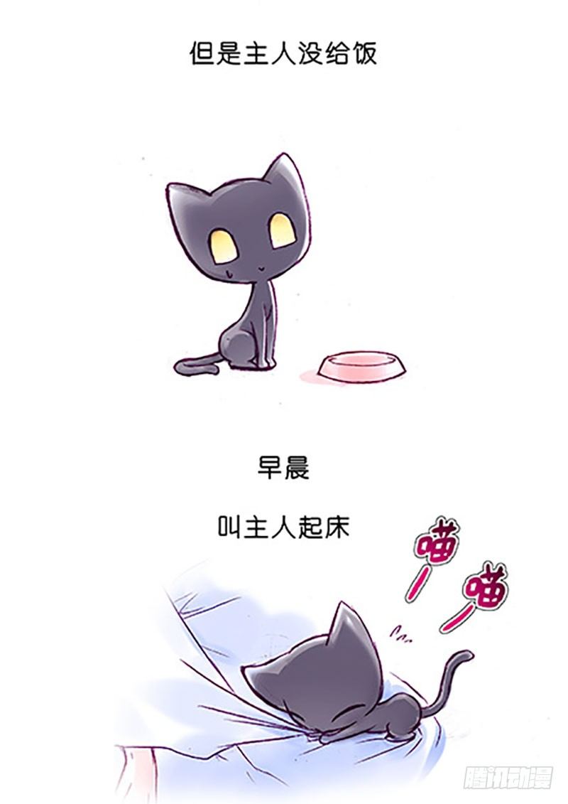 我家大师兄脑子有坑韩漫全集-番外：飞星喵6-15合集无删减无遮挡章节图片 