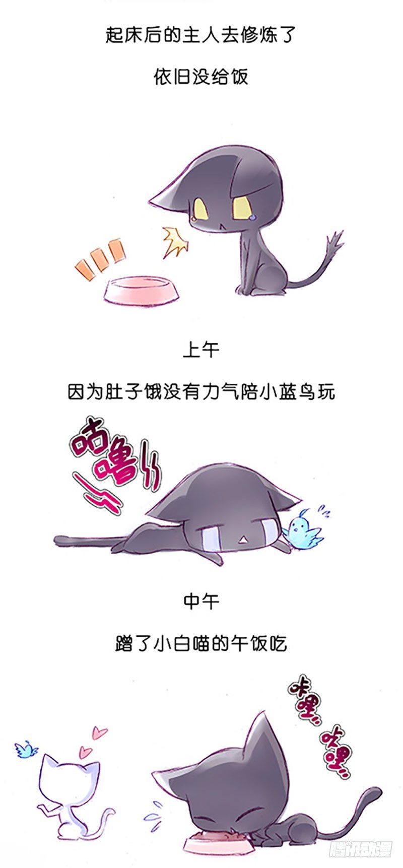 我家大师兄脑子有坑韩漫全集-番外：飞星喵6-15合集无删减无遮挡章节图片 
