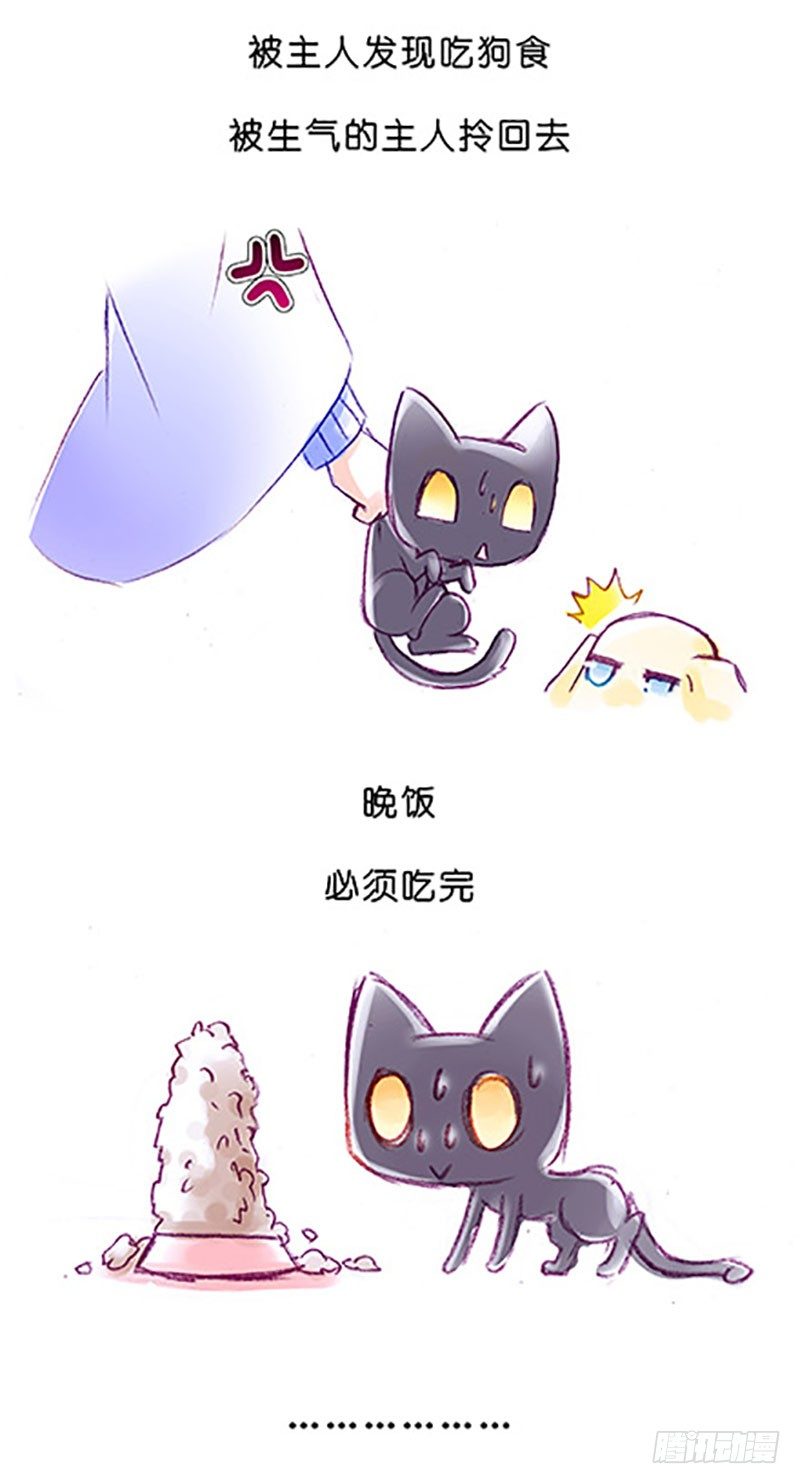 我家大师兄脑子有坑韩漫全集-番外：飞星喵6-15合集无删减无遮挡章节图片 
