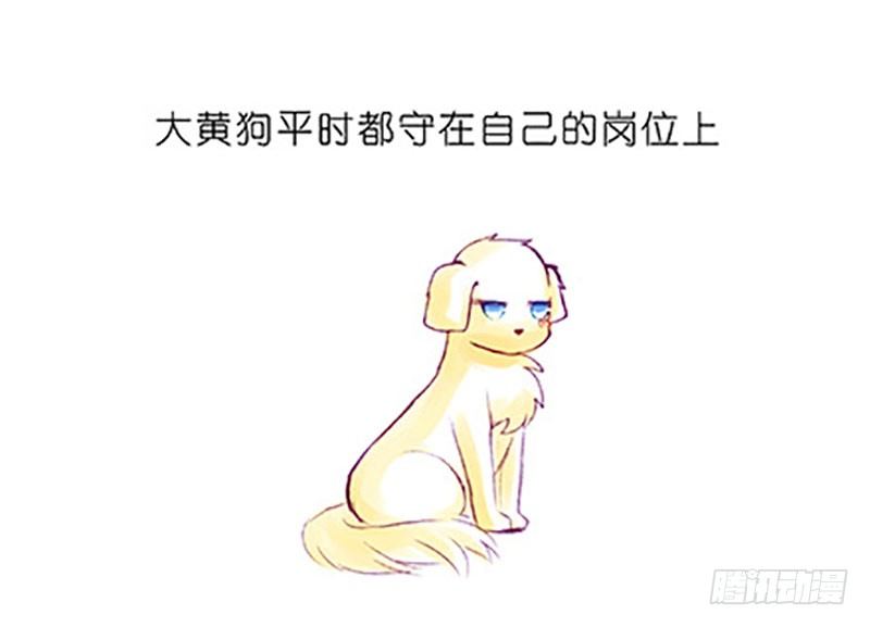 我家大师兄脑子有坑韩漫全集-番外：飞星喵6-15合集无删减无遮挡章节图片 