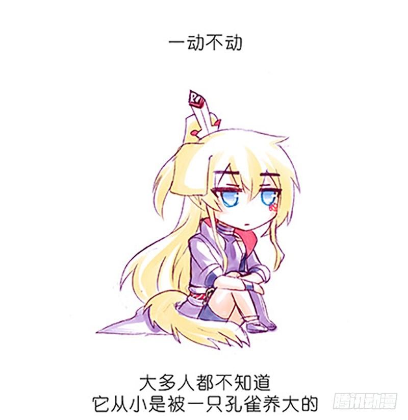 我家大师兄脑子有坑韩漫全集-番外：飞星喵6-15合集无删减无遮挡章节图片 