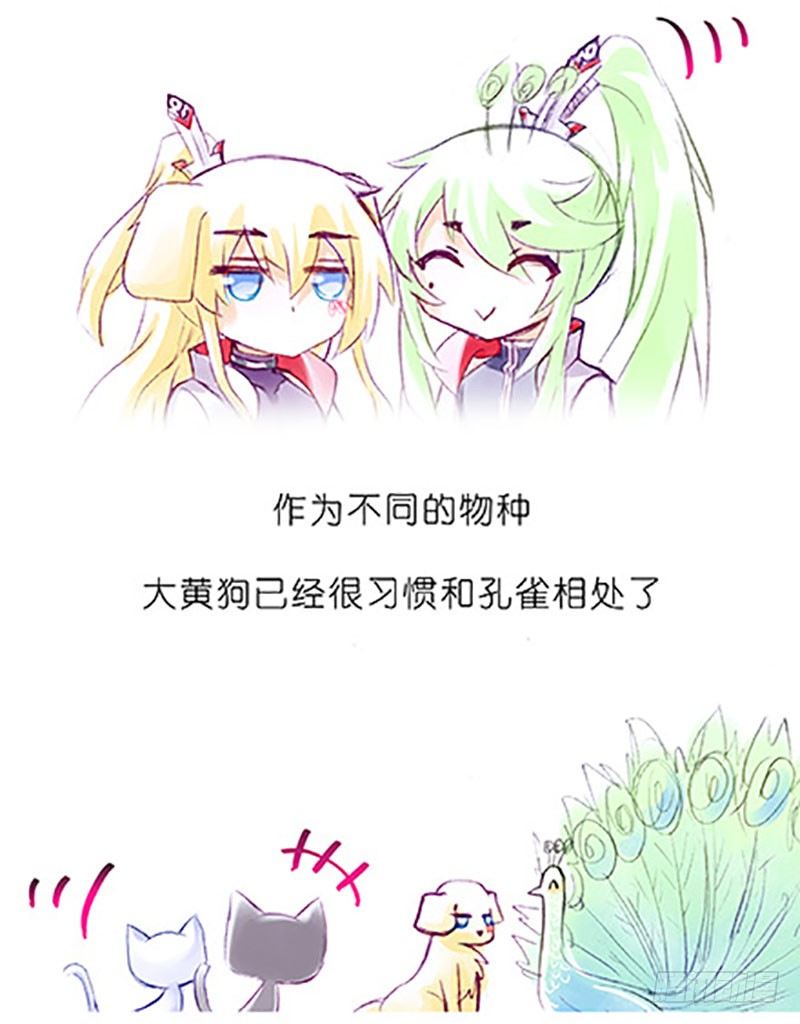我家大师兄脑子有坑韩漫全集-番外：飞星喵6-15合集无删减无遮挡章节图片 