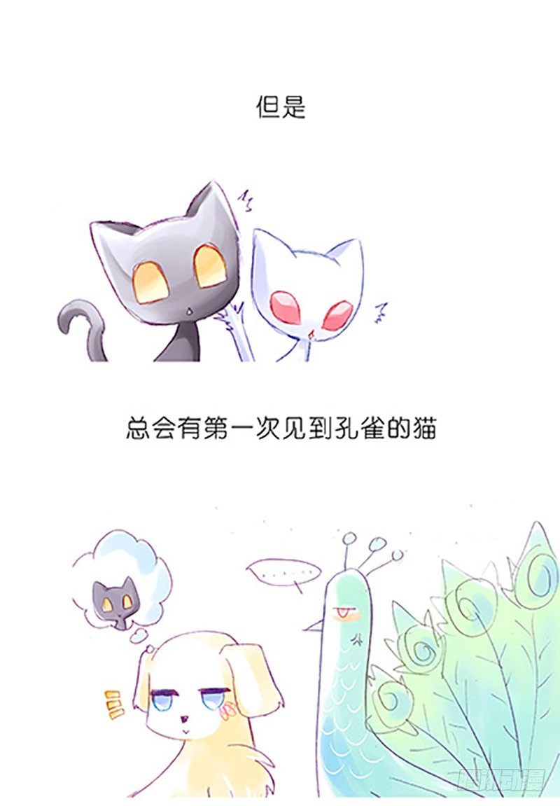 我家大师兄脑子有坑韩漫全集-番外：飞星喵6-15合集无删减无遮挡章节图片 