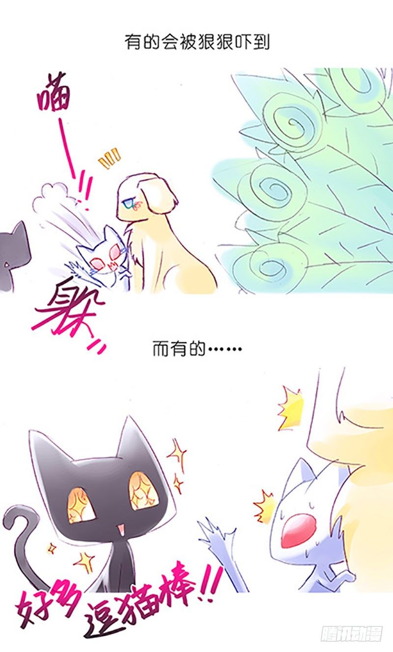 我家大师兄脑子有坑韩漫全集-番外：飞星喵6-15合集无删减无遮挡章节图片 