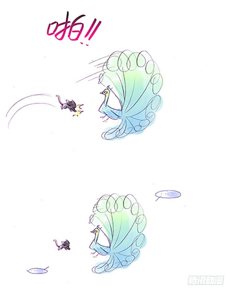 我家大师兄脑子有坑韩漫全集-番外：飞星喵6-15合集无删减无遮挡章节图片 