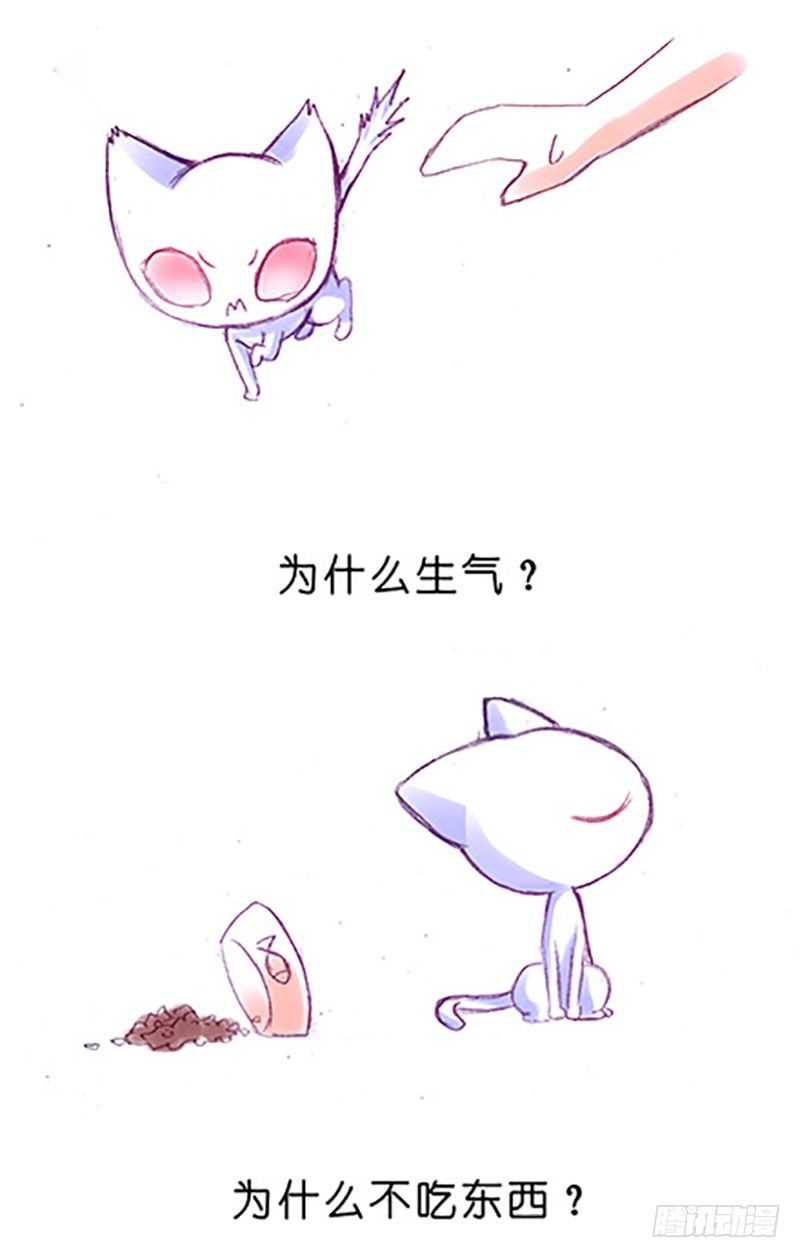 我家大师兄脑子有坑韩漫全集-番外：飞星喵6-15合集无删减无遮挡章节图片 