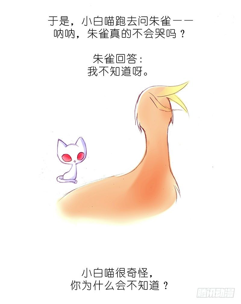 我家大师兄脑子有坑韩漫全集-番外：飞星喵6-15合集无删减无遮挡章节图片 