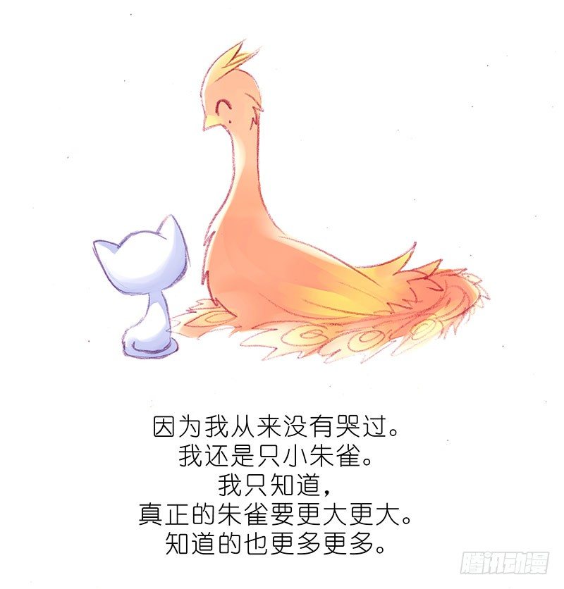 我家大师兄脑子有坑韩漫全集-番外：飞星喵6-15合集无删减无遮挡章节图片 